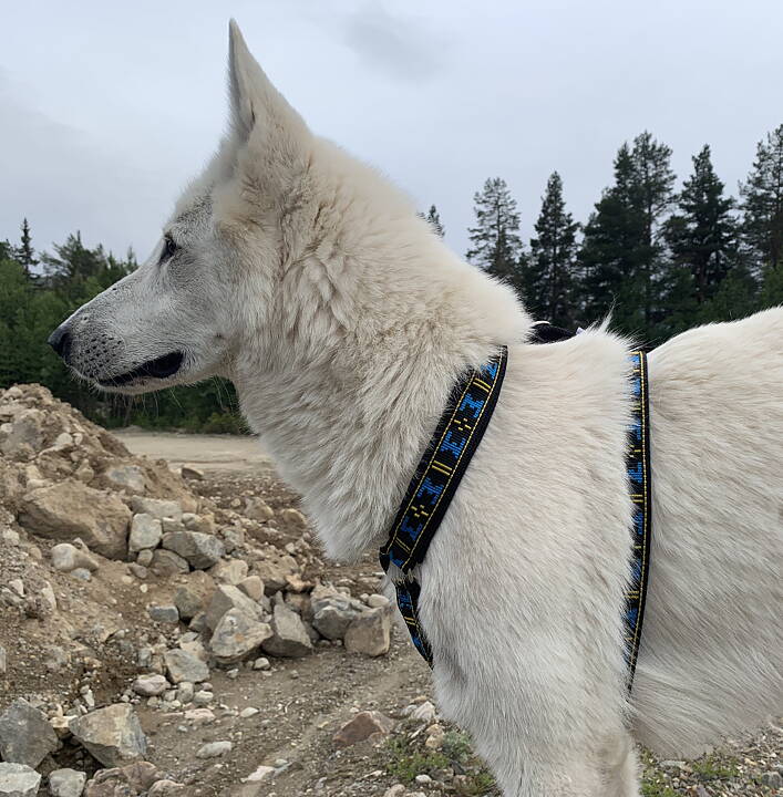 ManMat Guard multisele blå