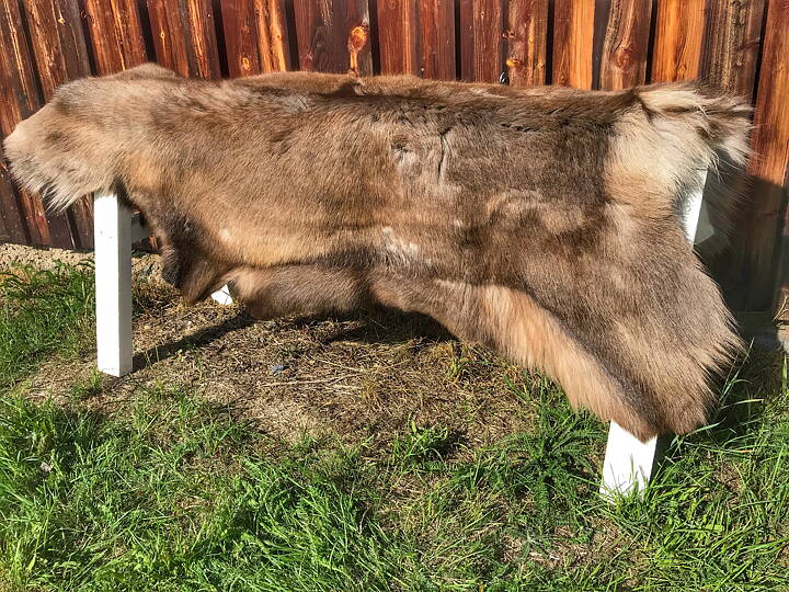 Renskinn (Specialbehandlat för inne & ute)