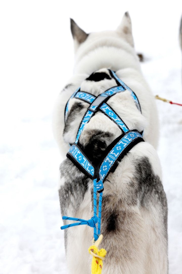 ManMat Dragsele Sled blå reflex MEDIUM