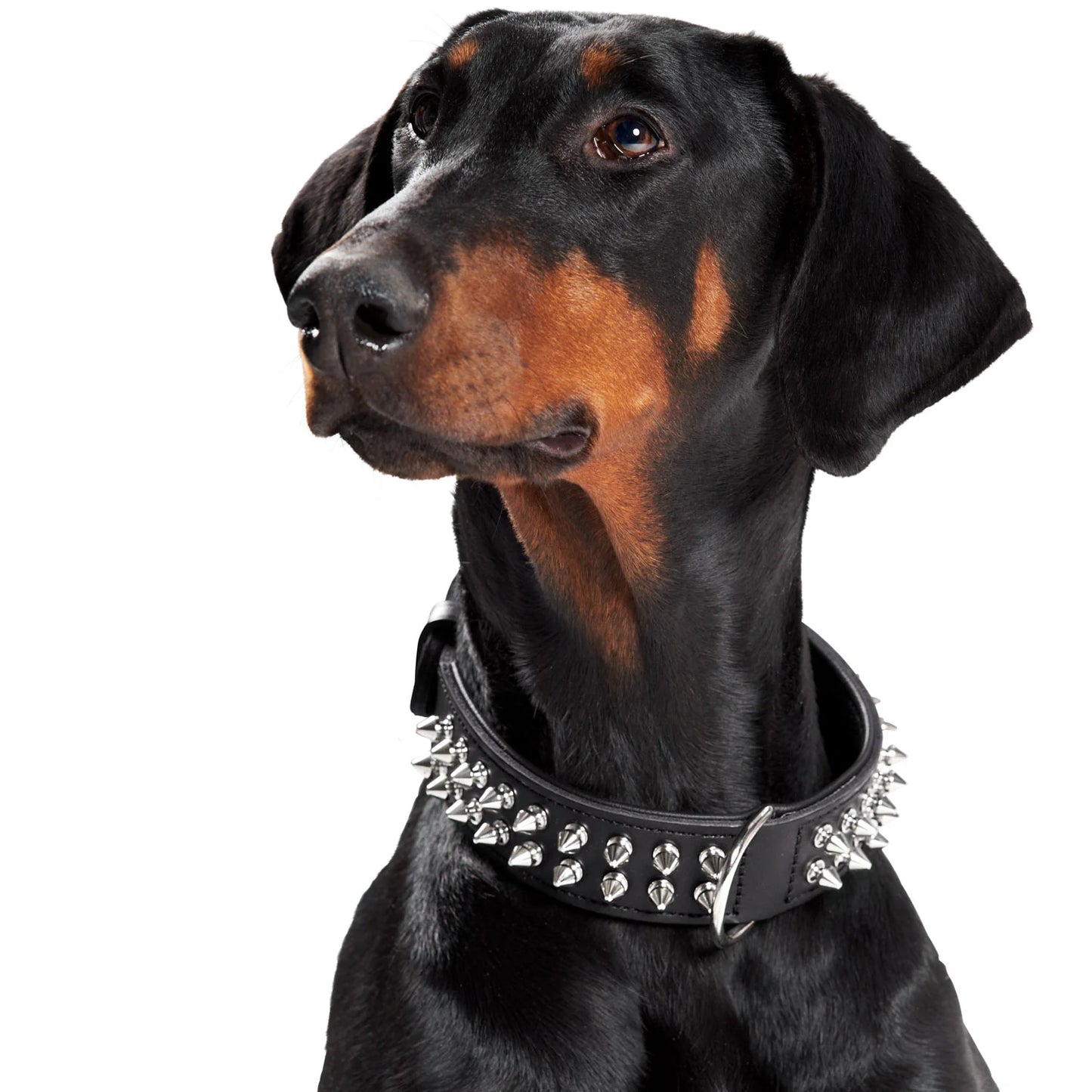 Hunter läderhalsband Rambo 55