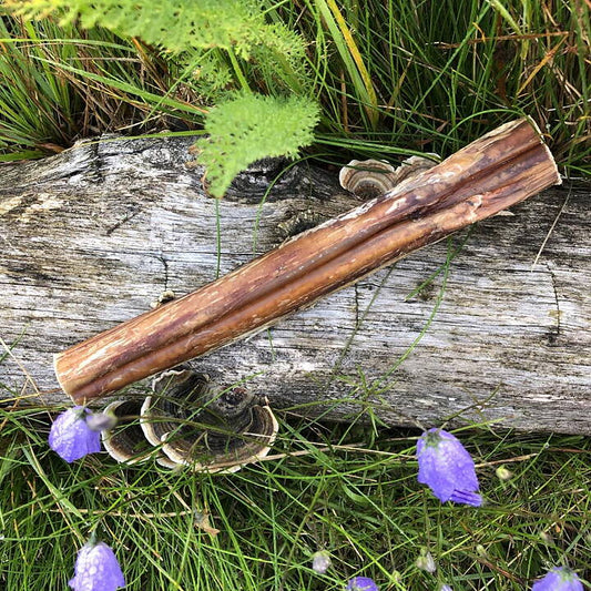 Torkad tjurmuskel för hund – Naturligt hundtugg med hårt tuggmotstånd