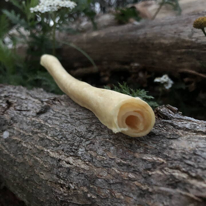 RAUH Moose Powerstick