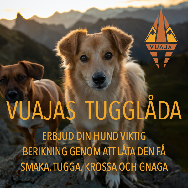 Vuajas Tugglåda – Ett utvalt smakprov av våra mest älskade tugg