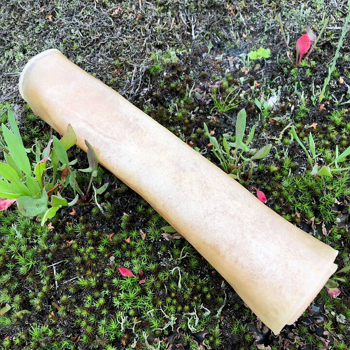 Tuggrulle Kronhjort 21cm