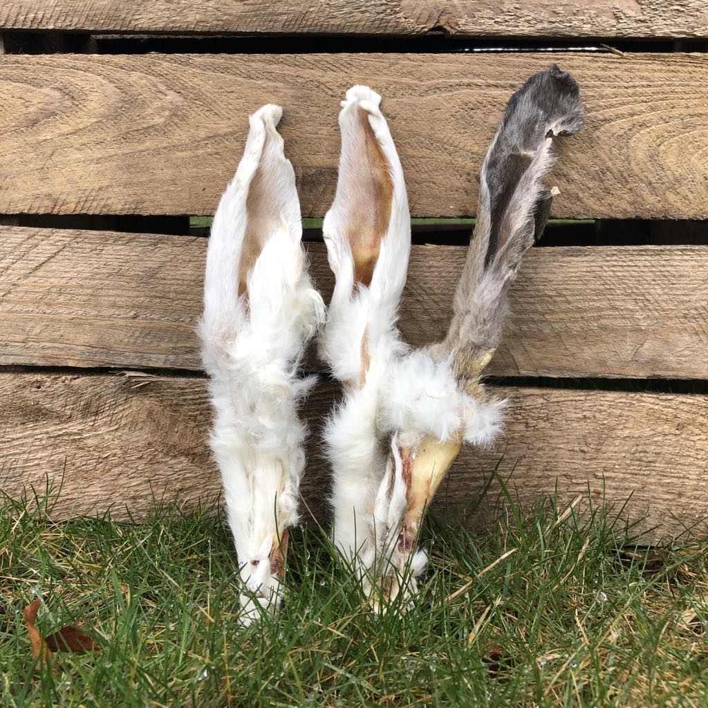 Tre torkade kaninöron med päls lutar mot trävägg