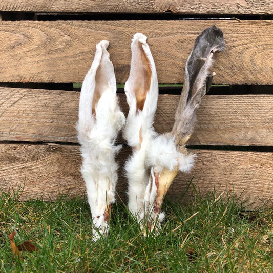 Tre torkade kaninöron med päls lutar mot trävägg