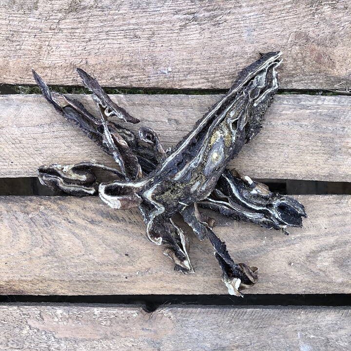 Torkad lammvom för hund 100g