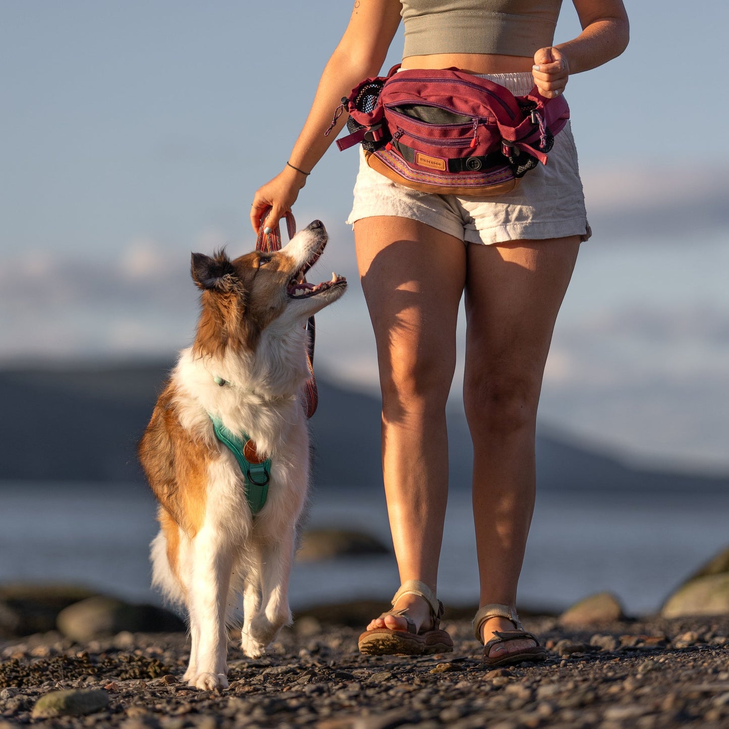 Tjej och hund på stranden, båda har utrustning från Wilderdog.