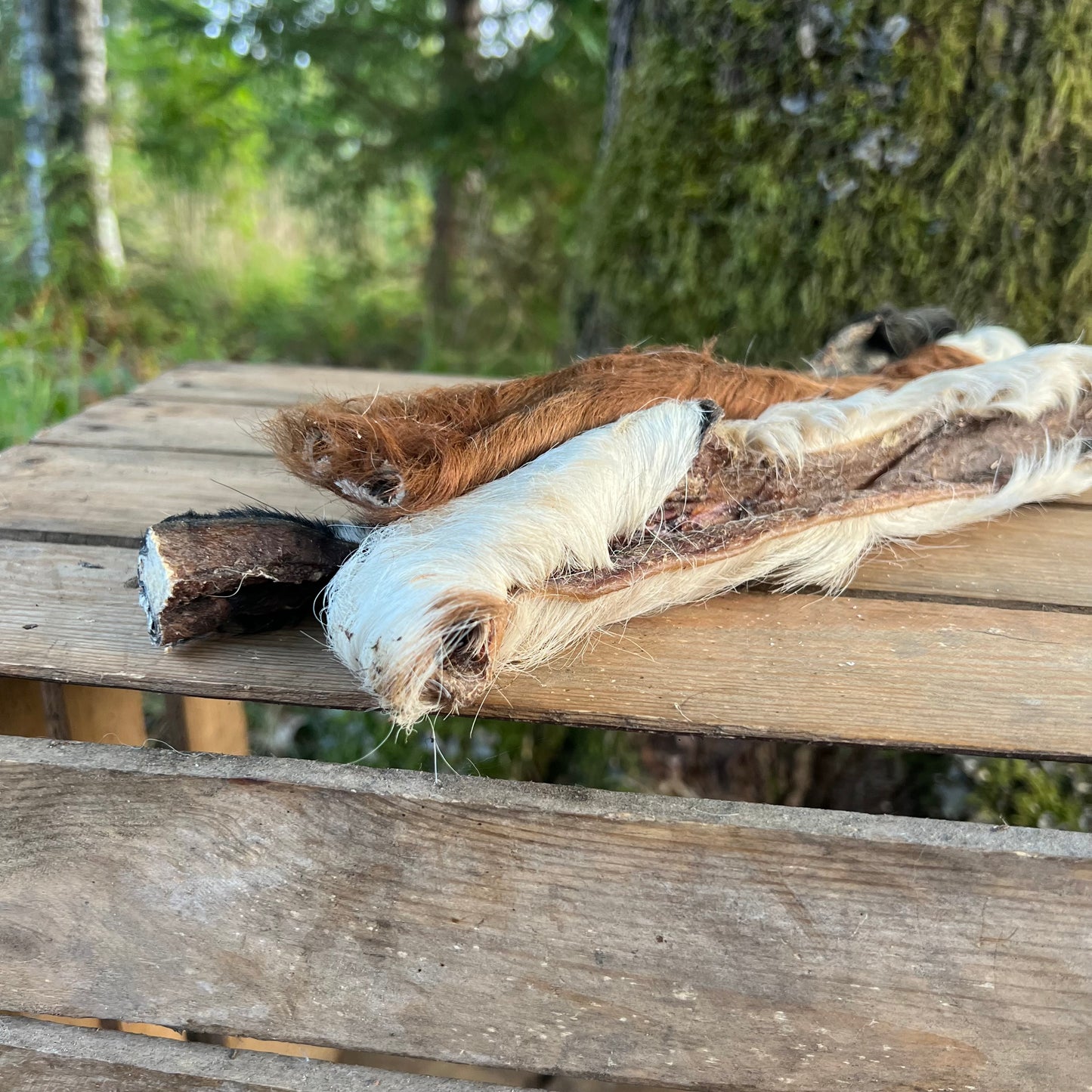 Kohud med päls (nötskalp) lång