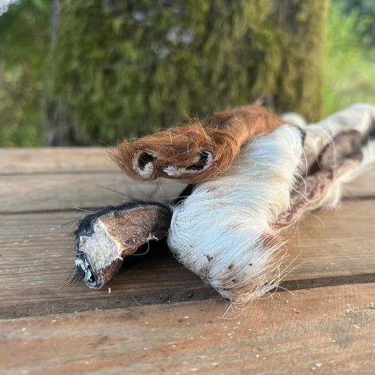 Kohud med päls (nötskalp) lång