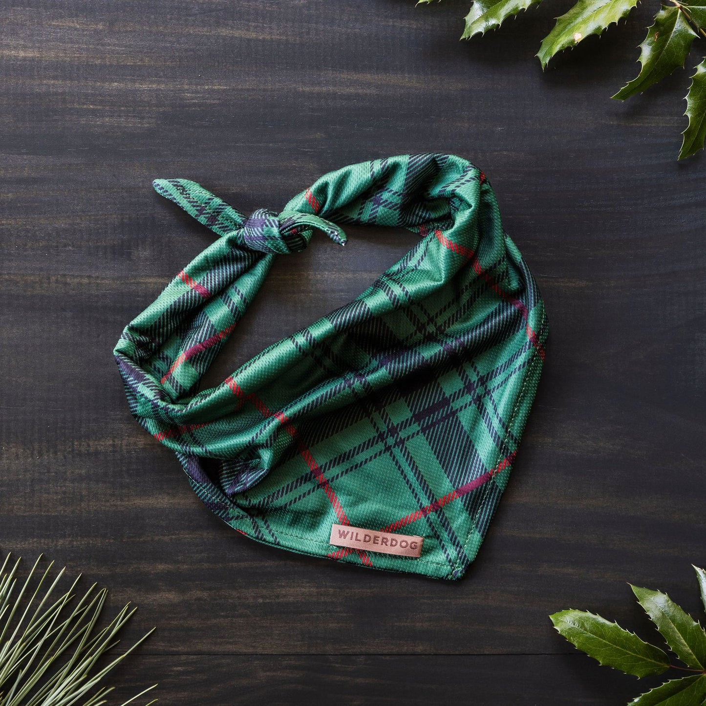 Wilderdog Bandana TARTAN PLAID