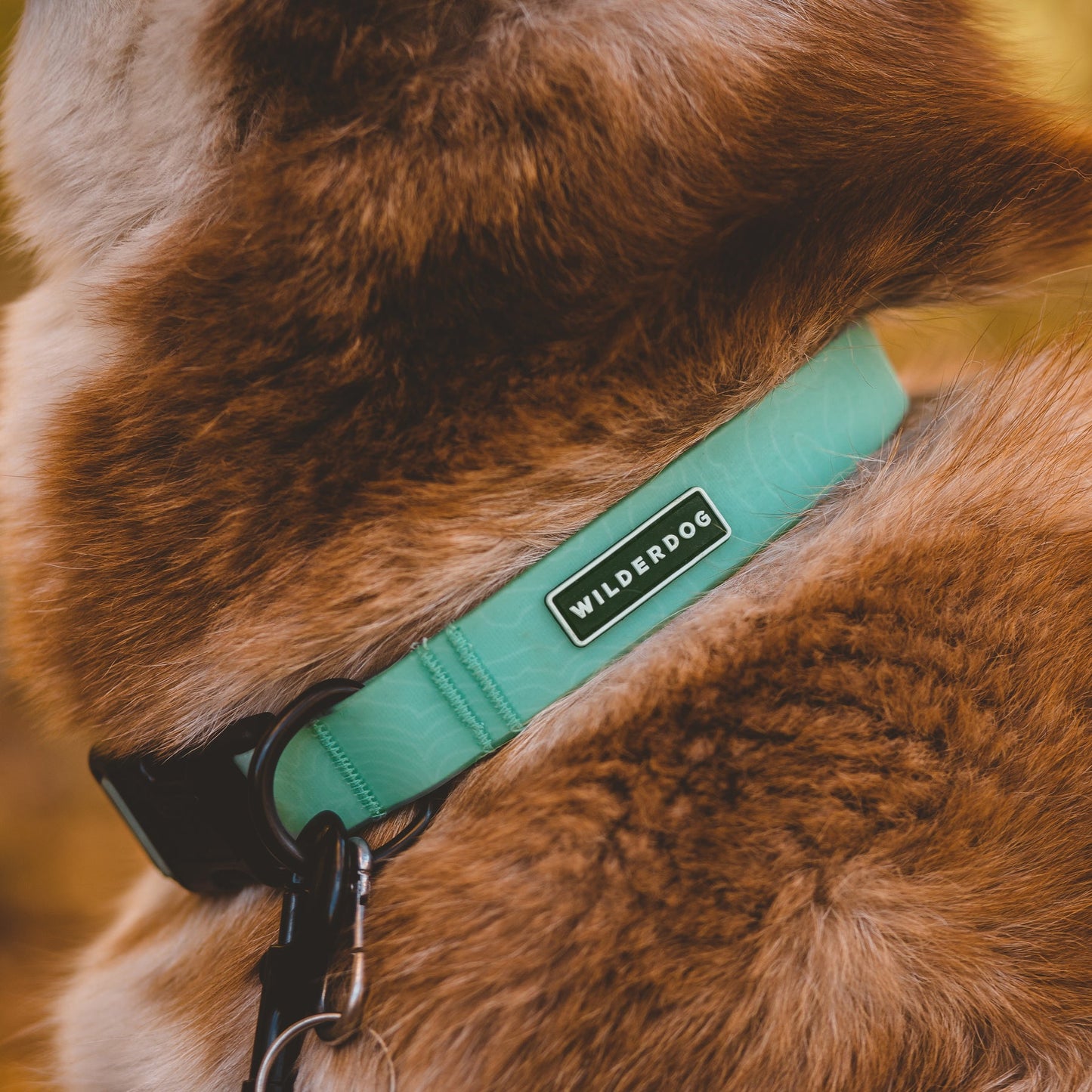 Wilderdog Waterproof Halsband SEAFOAM