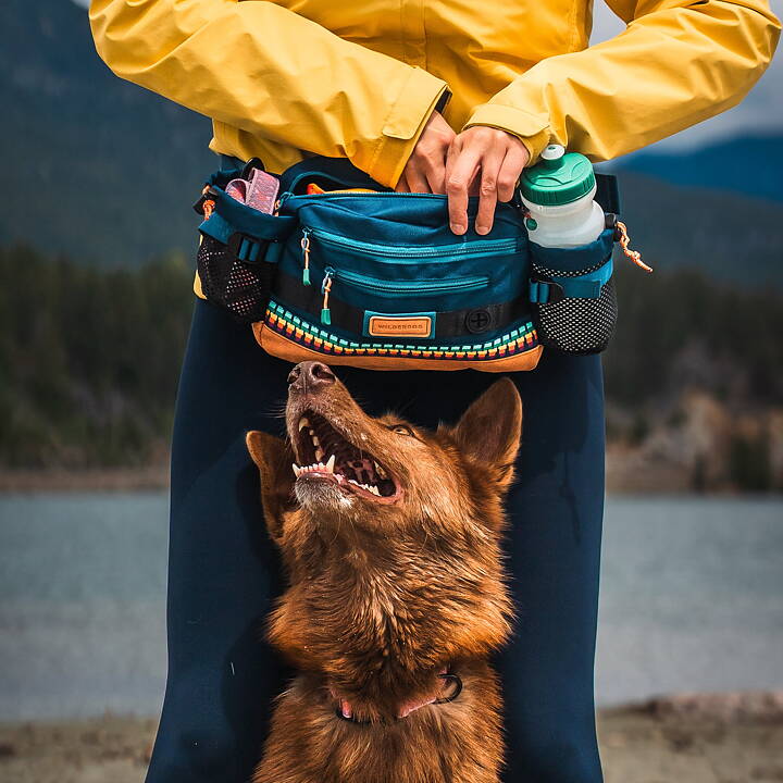 Wilderdog Mega Hip Pack PACIFIC BLUE