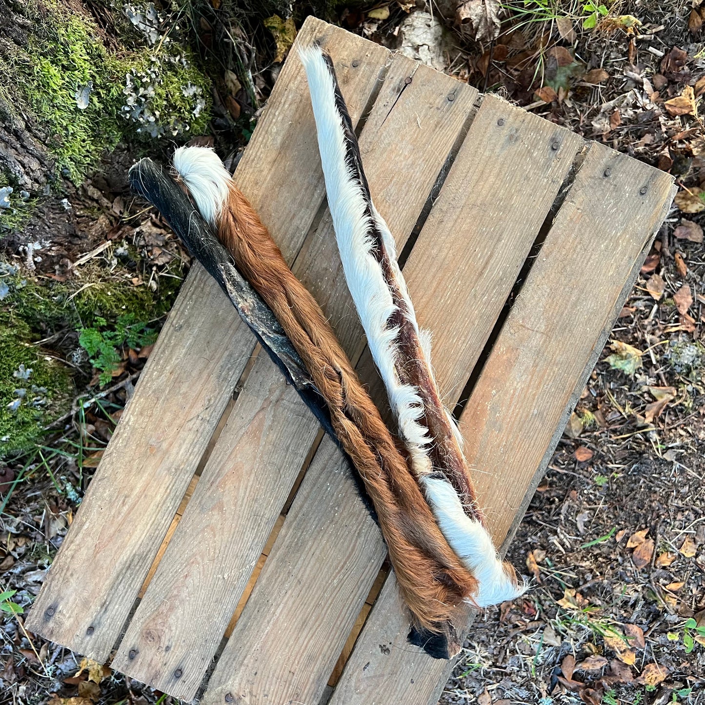 Kohud med päls (nötskalp) lång