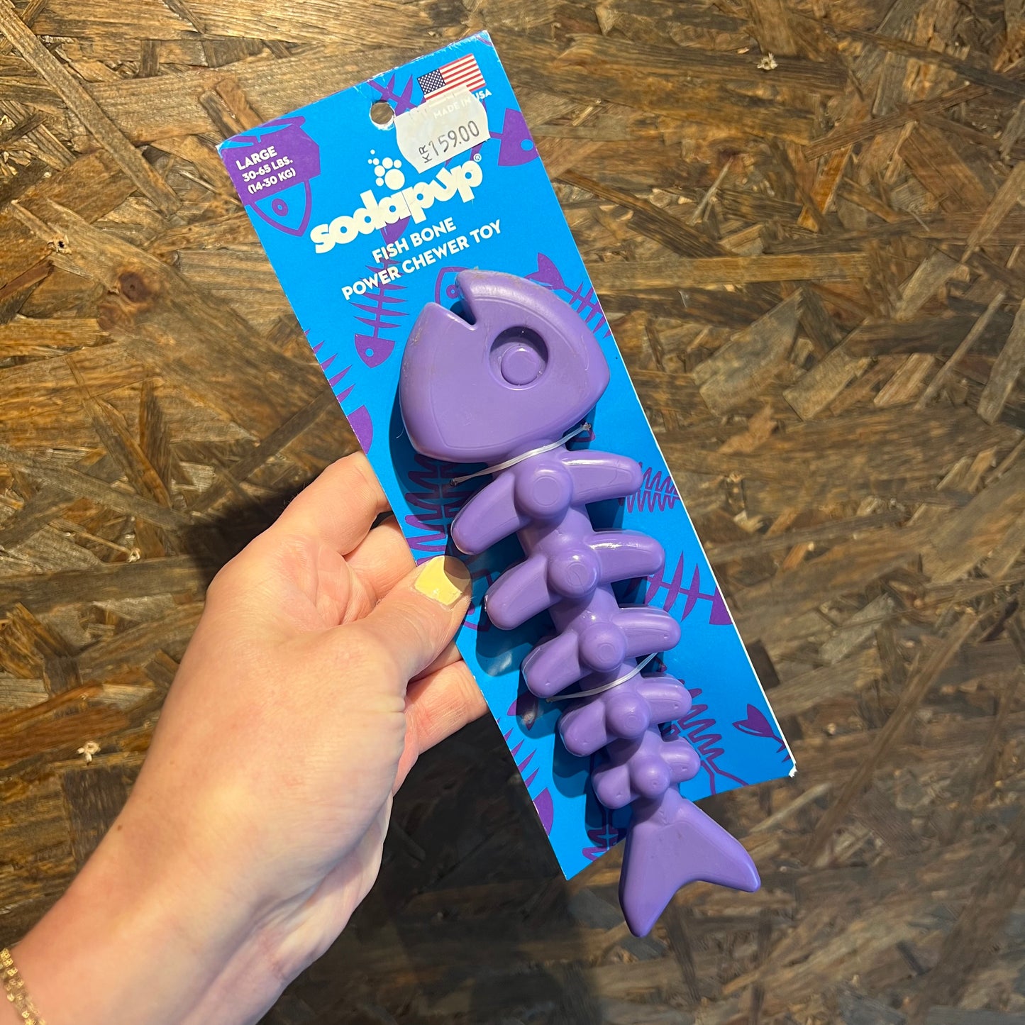 Sodapup Fish Bone