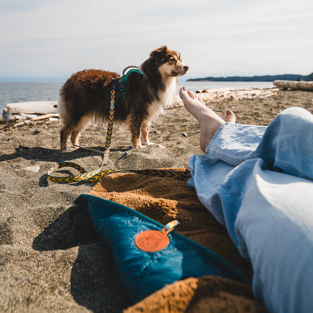 Wilderdog Picnic Blanket