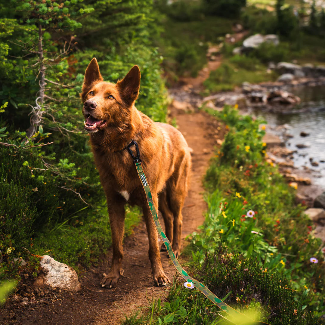 Wilderdog Ultralight Koppel CAMO