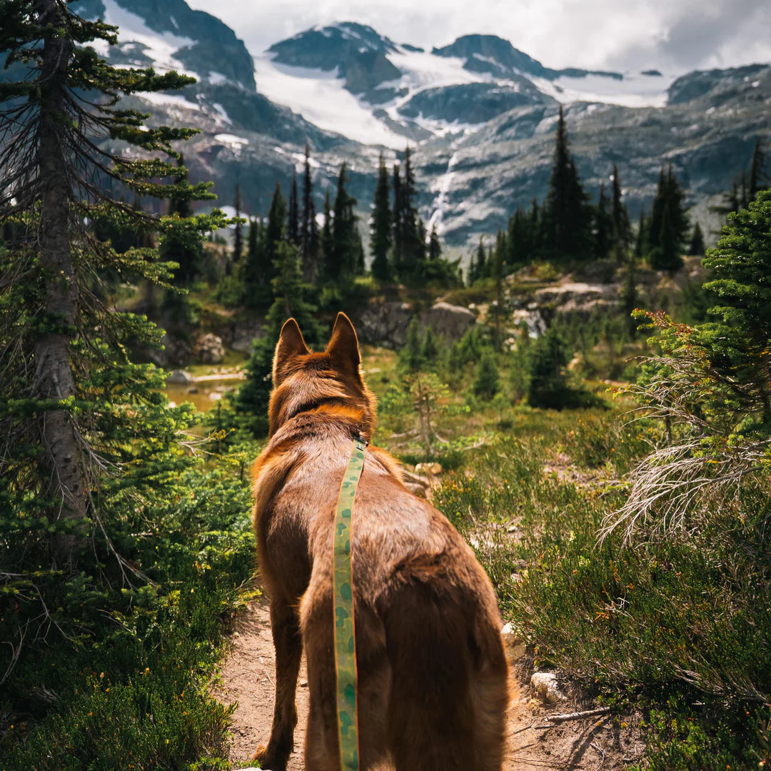 Wilderdog Ultralight Koppel CAMO