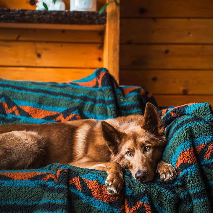 Wilderdog Filt Sherpa Fleece Waterproof Blanket OLIVE