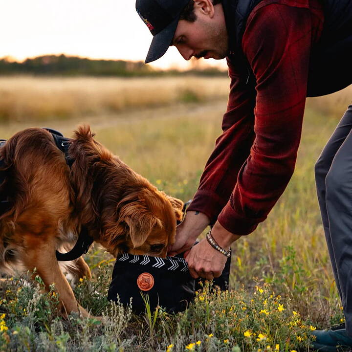 Man ger hund vatten ur Wilderdog Backpacking Bowl i svart.