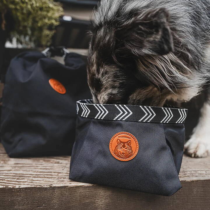 Hund dricker ur Wilderdog Backpacking Bowl i svart.