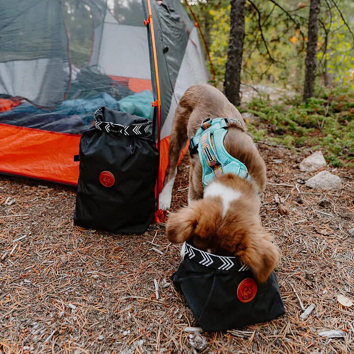Wilderdog Backpacking Bowl BLACK