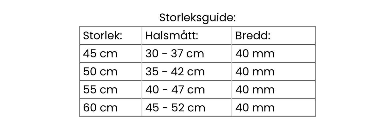 Hunter Läderhalsband Solid Exclusive