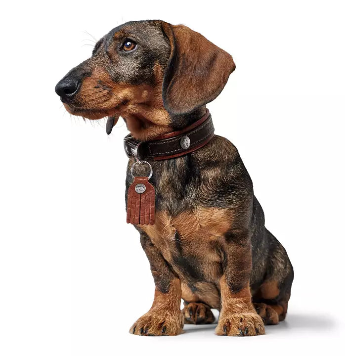 Hunter Läderhalsband Cody Comfort mörkbrun/cognac