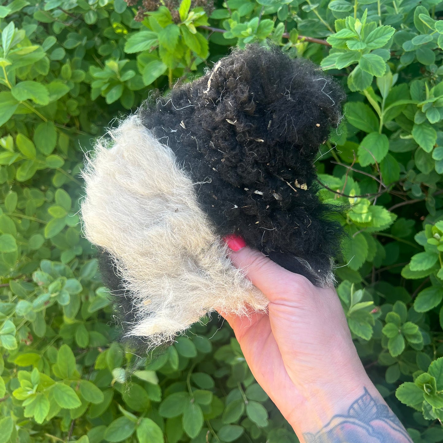 Lammskinn med päls – naturlig berikning för din hund