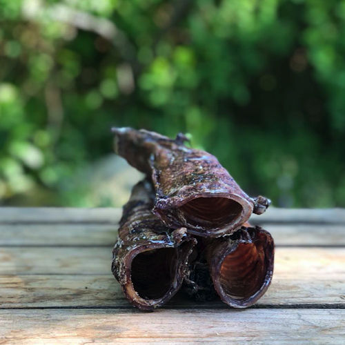 Oxstrupe - segt och knaprigt hundtugg