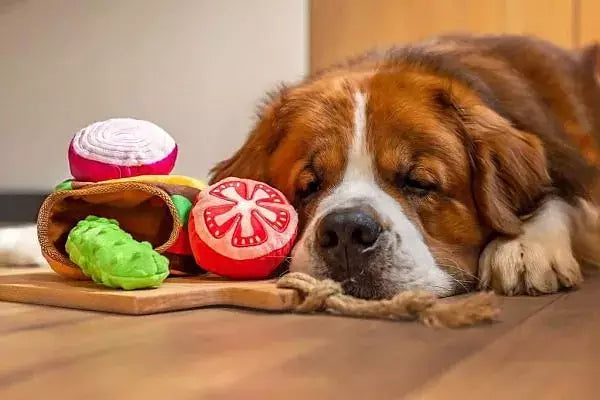 PawStory Snuffles Jumbo burger