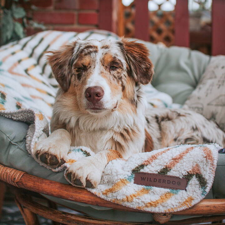 Wilderdog Filt Sherpa Fleece Waterproof Blanket CREAM