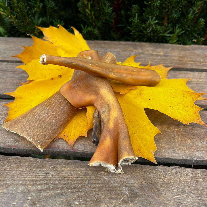 Vuajas Vilda Vildsvinshud 200g