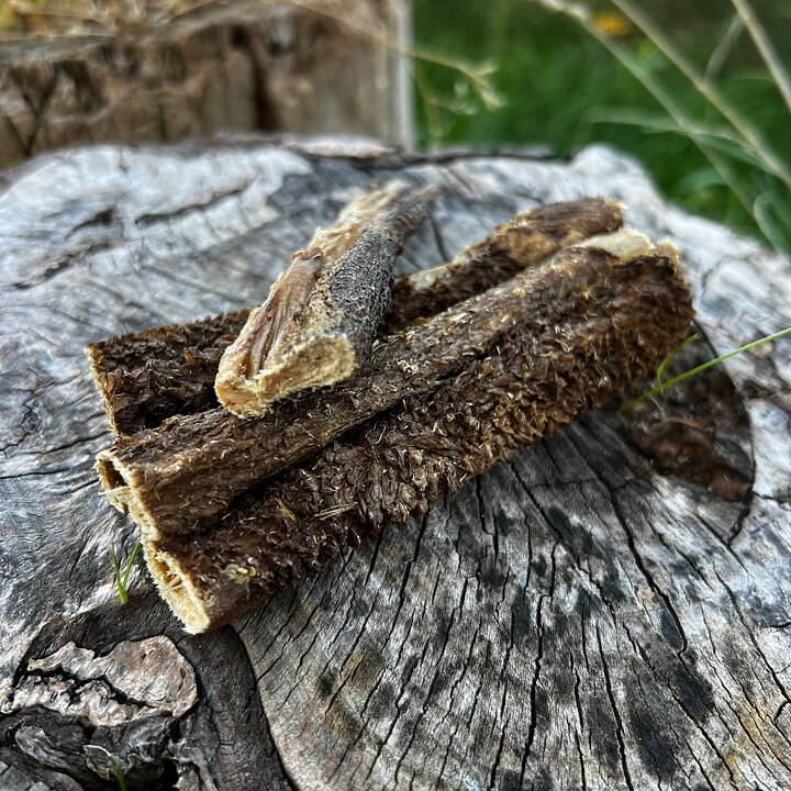 Tuggstänger av nötvom