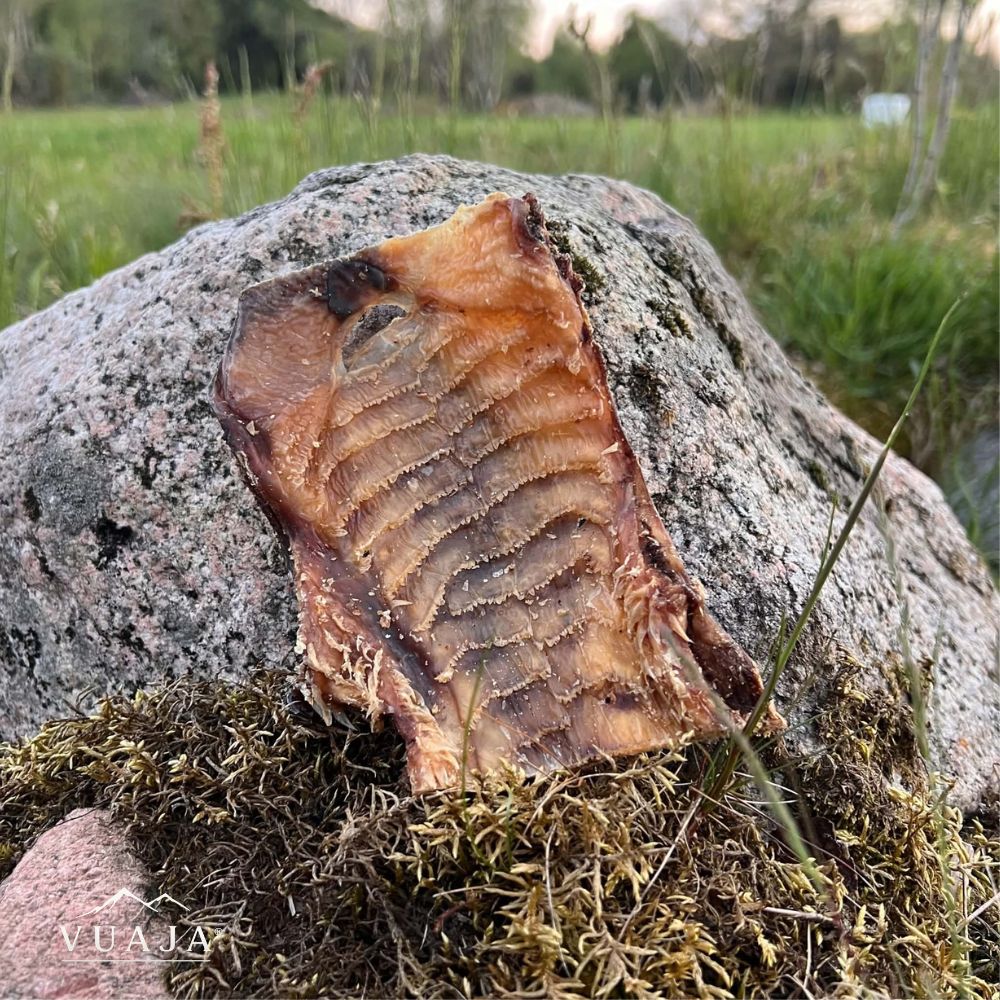 Torkad oxgom