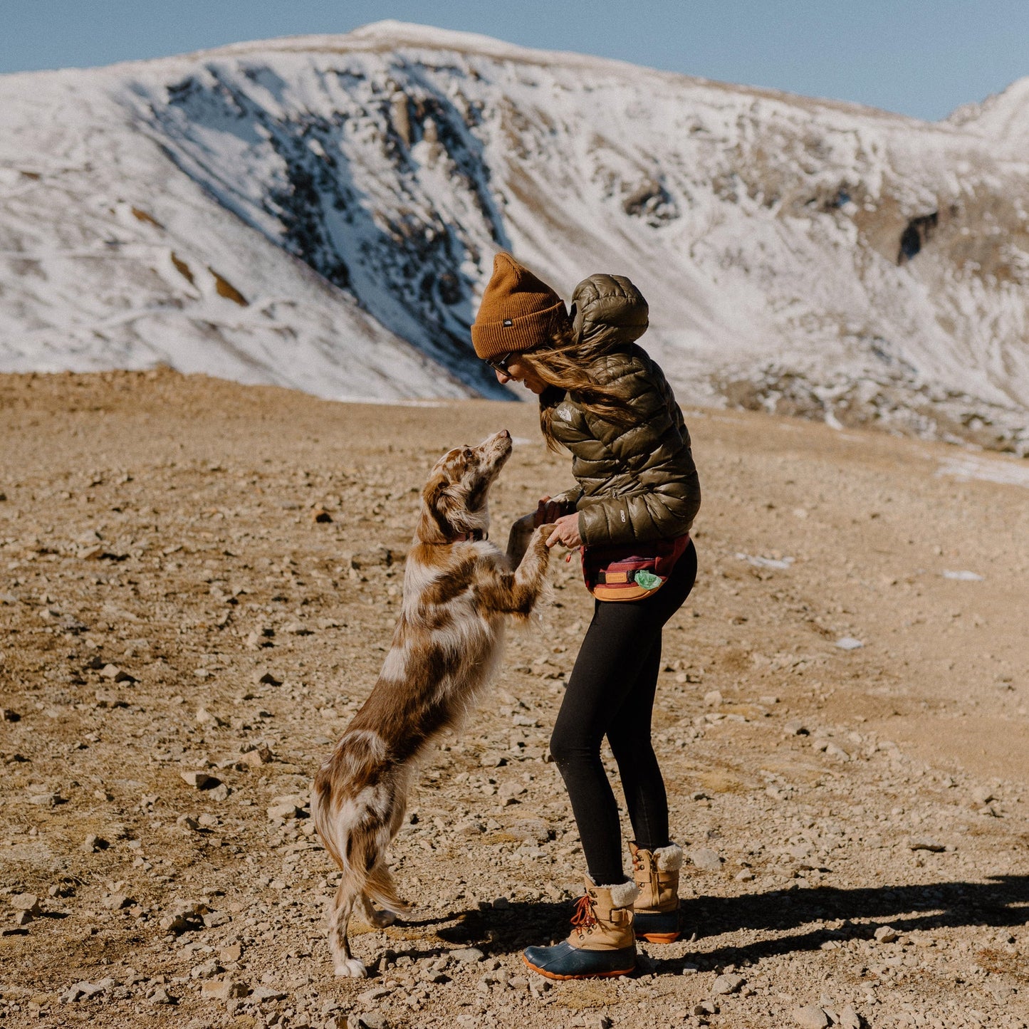 Wilderdog Utility Pack, fyra färger