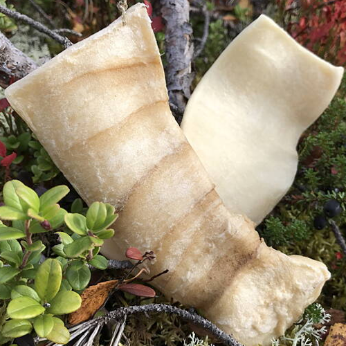 RAUH! Älgchips - Fettsnålt och snällt hundtugg