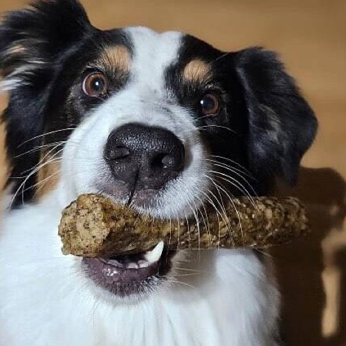 RAUH Big crunchy moose -Tuggstick älg