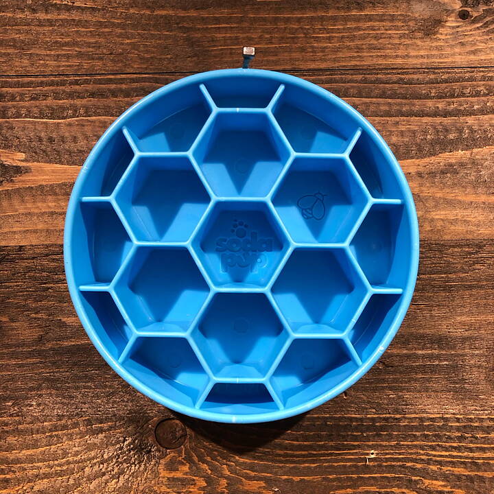 Slowfeeder Honeycomb blå