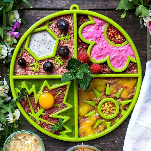 Slowfeeder Four Seasons