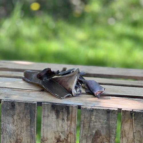 Kameltugg (skalp) – segt hundtugg