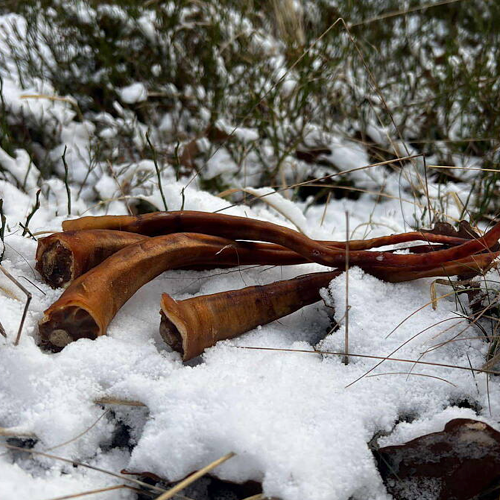 Torkad grisknorr för hundar