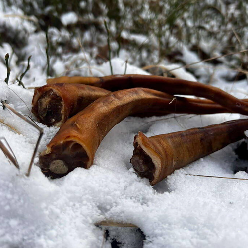 Torkad grisknorr för hundar