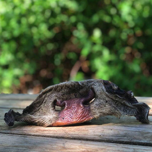 Oxmule för hundar – Naturligt torkat hundtugg med rejält tuggmotstånd
