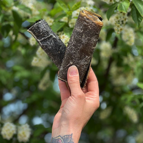 Njord Nötrulle Medium 14cm