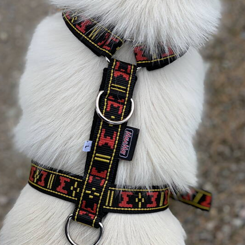 ManMat Guard multisele röd XXS KVAR!