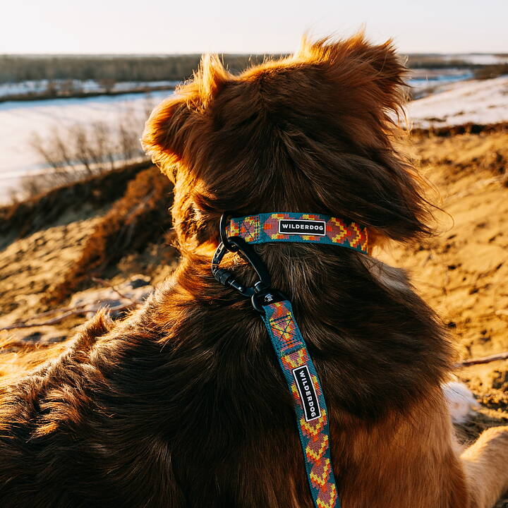 Wilderdog Ultralight Halsband HAVASU