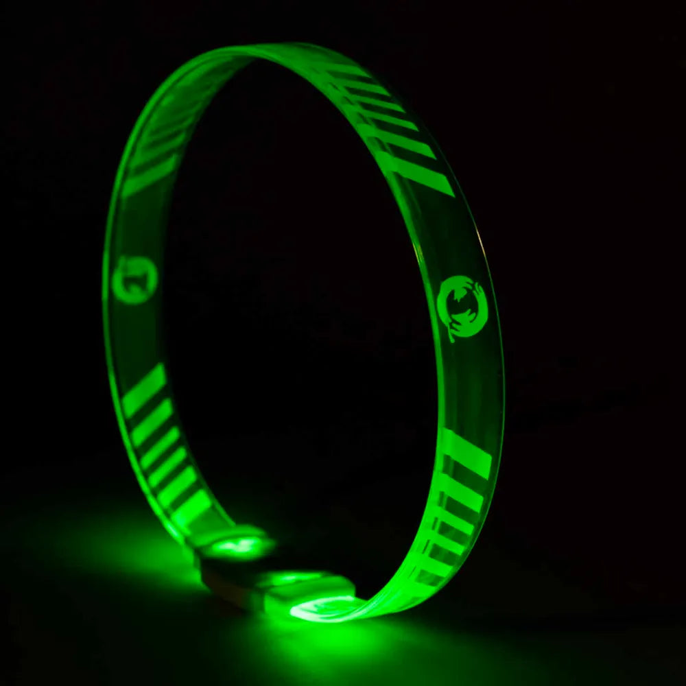 LED Hundhalsband Multicolour – Justerbart & USB-laddbart