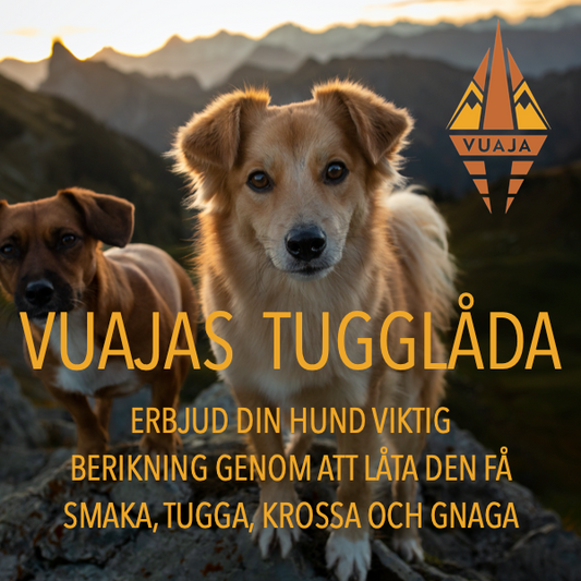 Vuajas Tugglåda – Ett utvalt smakprov av våra mest älskade tugg