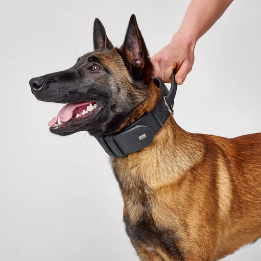 Hunter Larvik läderhalsband med handtag 70